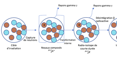 L’analyse par activation neutronique