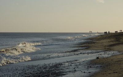 Appel du syndicat britannique majeur GMB à lancer la construction de Sizewell C