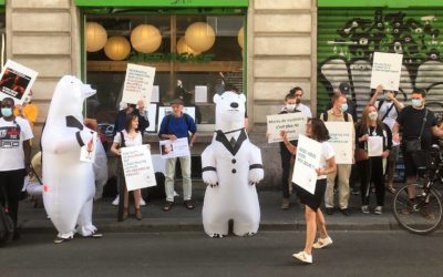 Fermeture de la centrale de Fessenheim – un acte de vandalisme politique