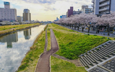 Les leçons de Fukushima